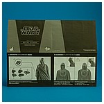 Royal-Guard-MMS469-Star-Wars-Hot-Toys-011.jpg