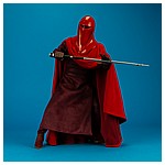 Royal-Guard-MMS469-Star-Wars-Hot-Toys-014.jpg