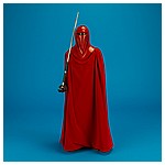 Royal-Guard-MMS469-Star-Wars-Hot-Toys-016.jpg