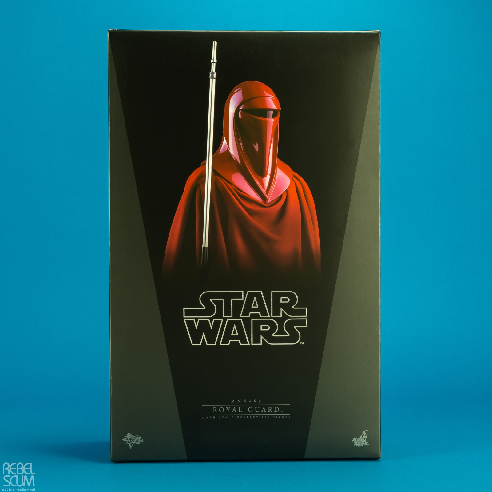 Royal-Guard-MMS469-Star-Wars-Hot-Toys-018.jpg