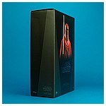 Royal-Guard-MMS469-Star-Wars-Hot-Toys-019.jpg