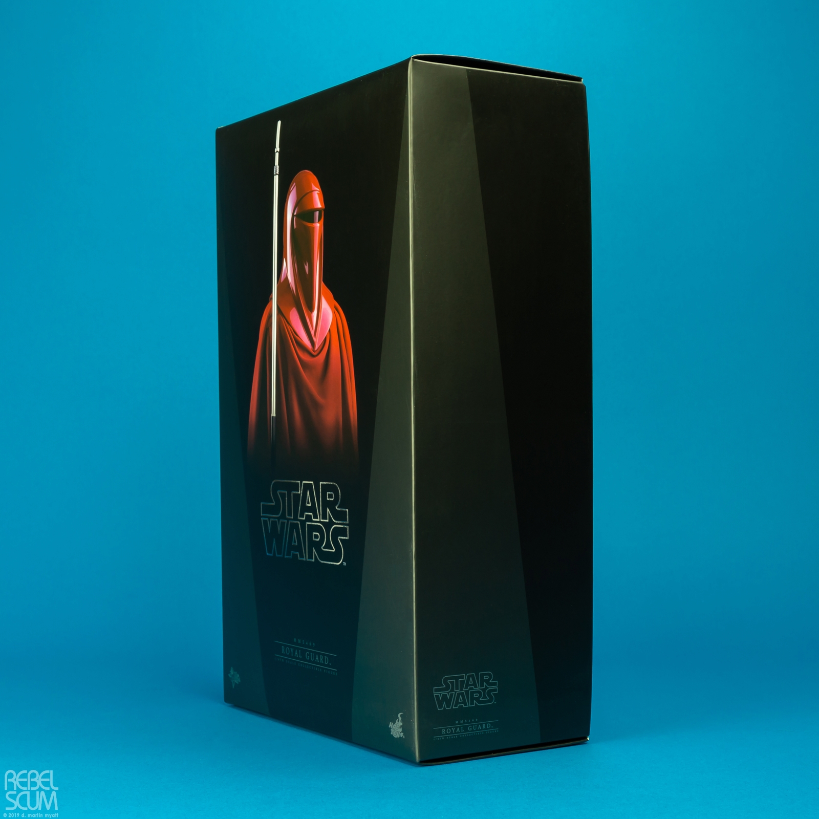 Royal-Guard-MMS469-Star-Wars-Hot-Toys-020.jpg