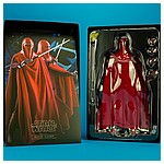 Royal-Guard-MMS469-Star-Wars-Hot-Toys-023.jpg