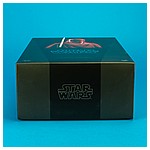 Royal-Guard-MMS469-Star-Wars-Hot-Toys-025.jpg