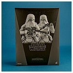 VGM25-Snowtroopers-Two-Pack-Hot-Toys-019.jpg