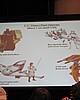 IMG_1803.JPG