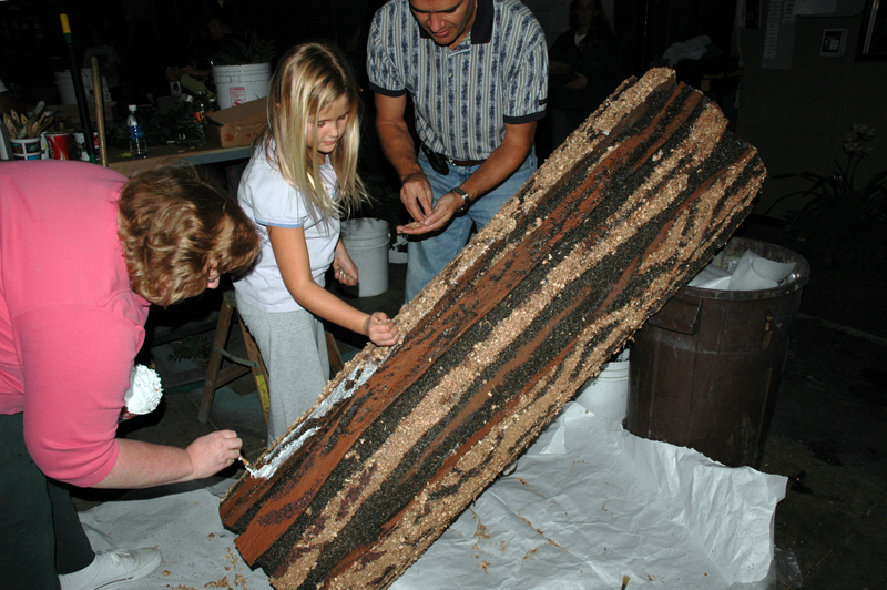 painted on glue holds down ground bark, seeds, and fiber