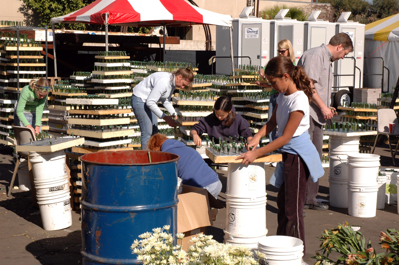 1000's of vials are filled with water to preserve flowers for 3 days