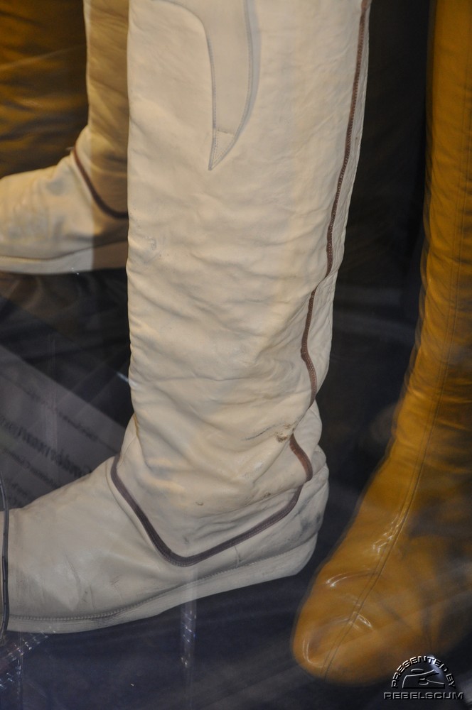 DSC_0104.JPG