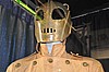 DSC_0145.JPG