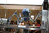 IMG_3726.JPG