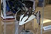 IMG_1685.JPG