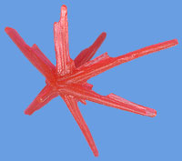 Blast Effect
