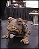 IMG_4825.JPG