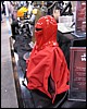 IMG_7476.JPG