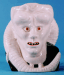 Bib Fortuna