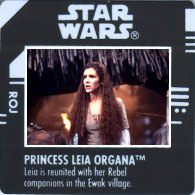 Leia Ewok Celebration