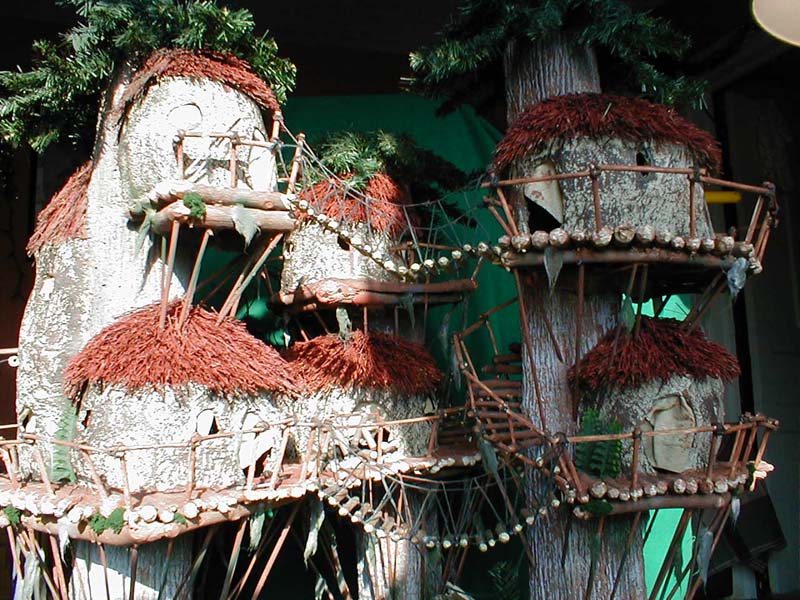 Owen Driscoll's Ewok Village