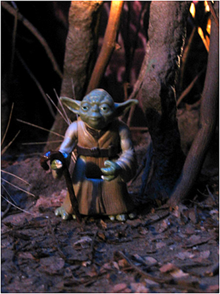 Ruf terrain's Dagobah diorama