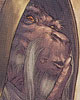 Kai Hudorra