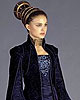 Senator Amidala - Loyalist Committee