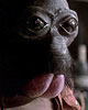 Ponda Baba