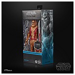 STAR WARS THE BLACK SERIES GAMING GREATS 6-INCH ZAALBAR Figure - in pck (3).jpg
