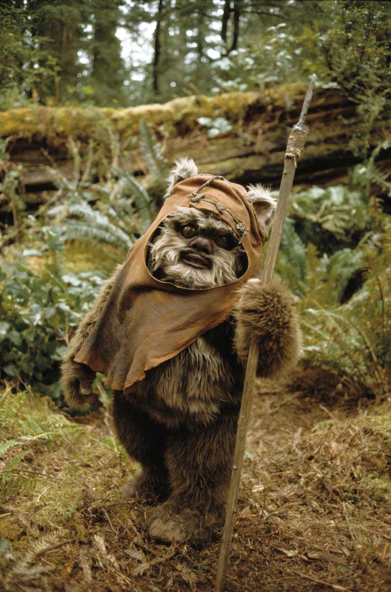 Warwick Davis in full costume as Ewok warrior, Wicket W. Warrick.