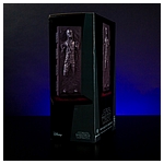 Han-Solo-in-Carbonite-Collectors-Gallery-statue-Gentle-Giant-010.jpg