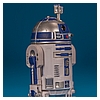 R2-D2_ROTJ_Vintage_Collection_TVC_VC25-06.jpg
