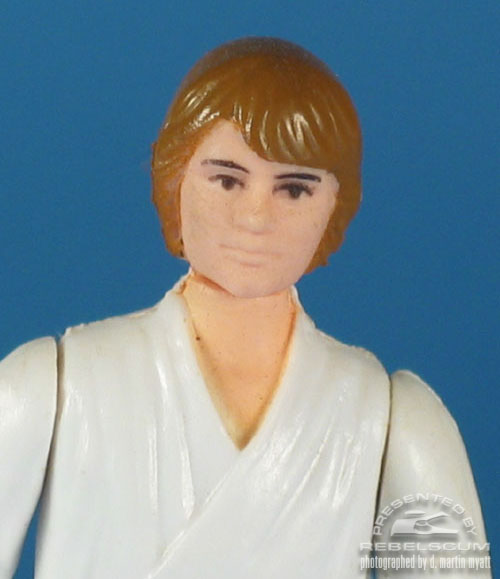 Luke Skywalker with Dark Brown Hair