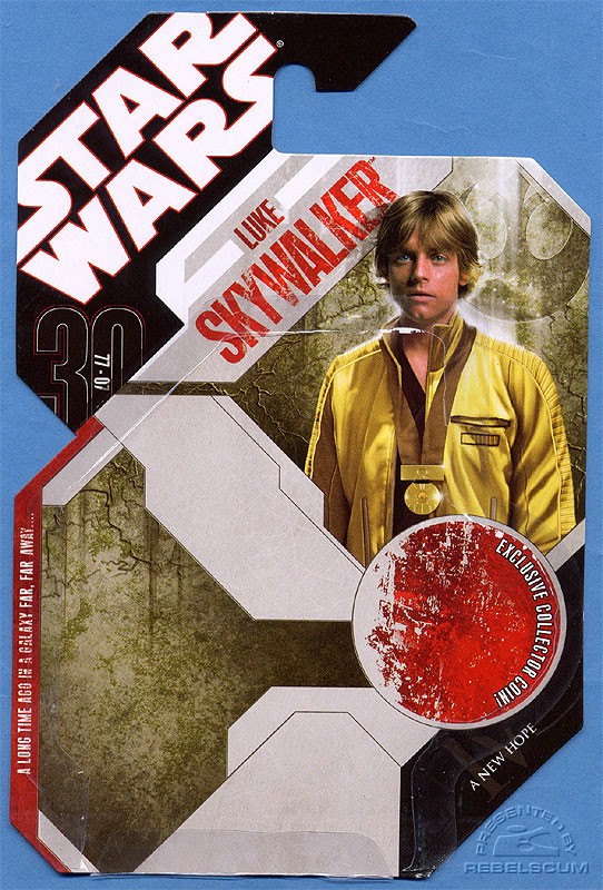 Luke Skywalker (Yavin Ceremony) 30-12