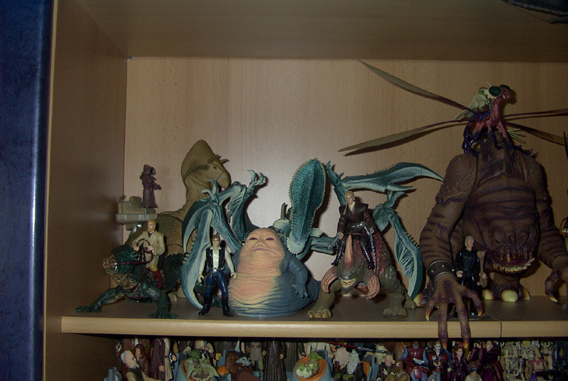 Peter Schuster's Collection