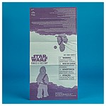 Chewbacca-Roaring-Star-Wars-Forces-of-Destiny-Hasbro-010.jpg