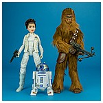 Chewbacca-Roaring-Star-Wars-Forces-of-Destiny-Hasbro-012.jpg