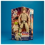 Luke-Skywalker-Yoda-Forces-Of-Destiny-Hasbro-Star-Wars-014.jpg